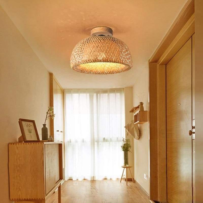 ZENARO® Ceiling Light