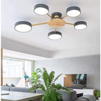 NOVERIS® Ceiling Light
